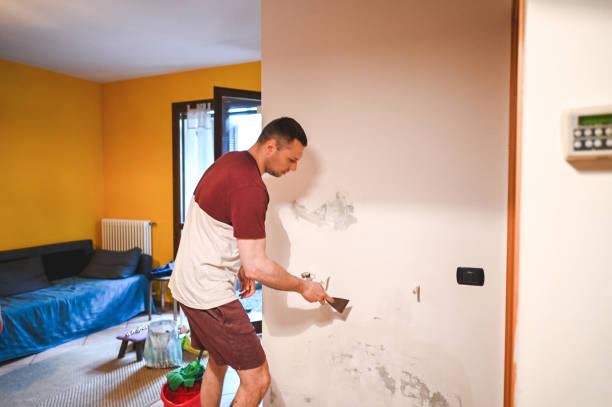 Best Best Mold Removal Companies  in Sutton Alpine, AK